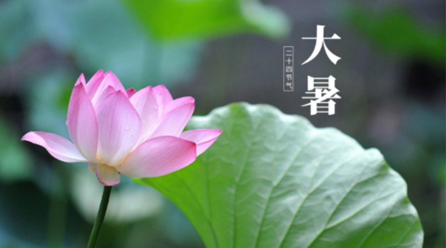 大暑時(shí)節(jié)！金環(huán)電器提醒大家注意這些干衣細(xì)節(jié)