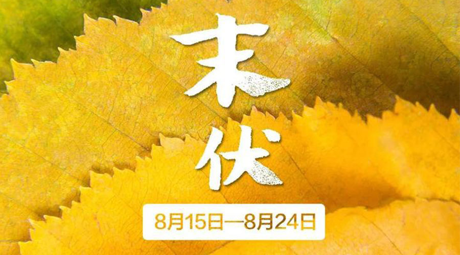 末伏時(shí)節(jié)！金環(huán)電器提醒你謹(jǐn)記這些注意事項(xiàng)