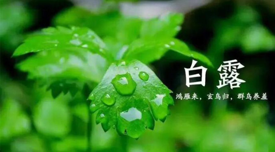 白露時(shí)節(jié)！金環(huán)電器提醒大家要注意的事項(xiàng)