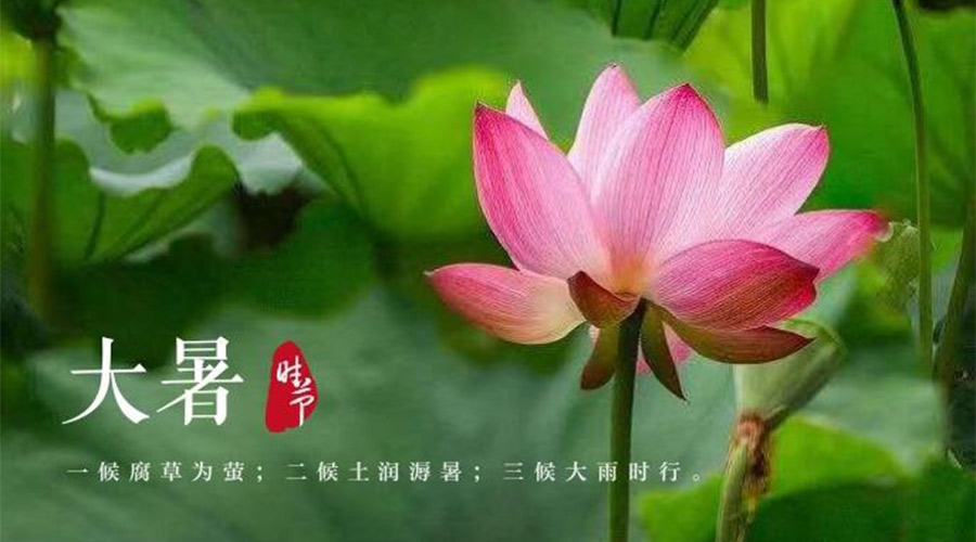 大暑時(shí)節(jié)！金環(huán)電器提醒大家要注意的事項(xiàng)