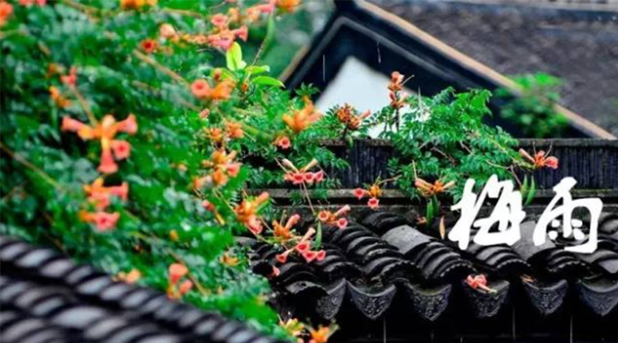 什么是梅雨？梅雨如何形成？  金環(huán)電器告訴你答案